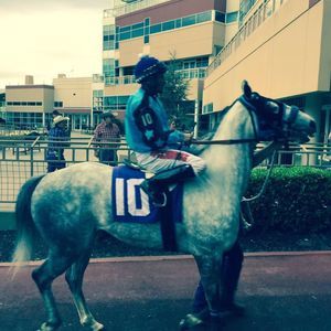 Meet your Posher, Erick